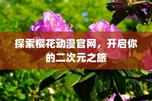 探索樱花动漫官网，开启你的二次元之旅