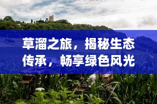 草溜之旅，揭秘生态传承，畅享绿色风光