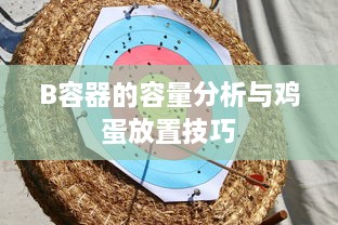 B容器的容量分析与鸡蛋放置技巧