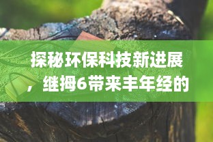 探秘环保科技新进展，继拇6带来丰年经的革命性突破与应用实践