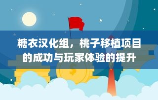 糖衣汉化组，桃子移植项目的成功与玩家体验的提升