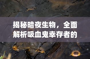 揭秘暗夜生物，全面解析吸血鬼幸存者的生存策略和合成表