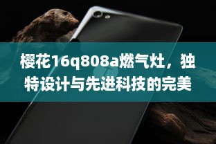 樱花16q808a燃气灶，独特设计与先进科技的完美结合