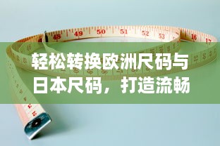 轻松转换欧洲尺码与日本尺码，打造流畅无卡顿的专业在线测量体验