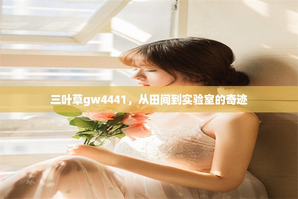 三叶草gw4441，从田间到实验室的奇迹